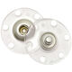 Union Knopf Bottone pressione 25mm | 10-trasparente
