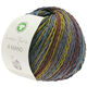 Lana Grossa A MANO (Linea Pura) | 11-cachi/verde grigio/ottanio/marrone scuro/senape/grigio