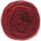 Lana Grossa ALTA MODA CASHMERE 16 SFUMATO | 204-rosso scuro puntinato