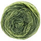 Lana Grossa ALTA MODA CASHMERE 16 SFUMATO | 206-verde chiaro/verde scuro puntinato