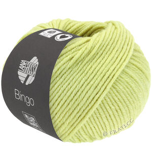 Lana Grossa BINGO  Uni/Melange | 772-verde delicata