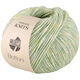 Lana Grossa BOTTONI | 11-verde pastello