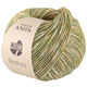 Lana Grossa BOTTONI | 12-marrone verde/crema