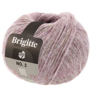 Lana Grossa BRIGITTE NO. 2 | 41-beige rosato