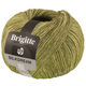 Lana Grossa BRIGITTE Silkdream | 06-cachi