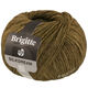 Lana Grossa BRIGITTE Silkdream | 18-oliva scuro