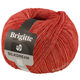 Lana Grossa BRIGITTE Silkdream | 23-terracotta