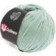 Lana Grossa 365 CASHMERE | 13-menta