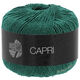 Lana Grossa CAPRI | 28-verde abete