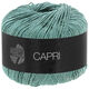 Lana Grossa CAPRI | 45-damast verde