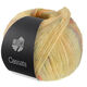 Lana Grossa CASSATA | 09-giallo pallido/giallo limone/rosa antico/grigio blu/viola grigio