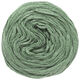Lana Grossa CHILLY (ABOUT BERLIN) | 03-verde grigio