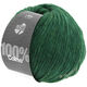 Lana Grossa COLMO | 11-verde