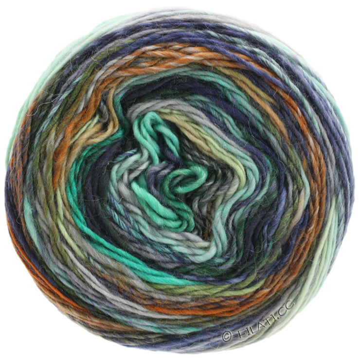 Lana Grossa COLORISSIMO | 01-menta/blu chiaro/melanzana/grigio chiaro/grigio scuro/marrone
