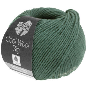 Lana Grossa COOL WOOL Big  Uni/Melange | 1004-verde muschio
