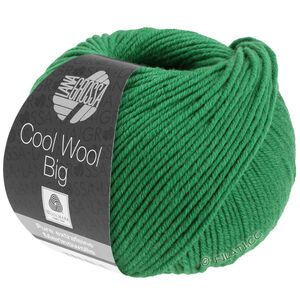Lana Grossa COOL WOOL Big  Uni/Melange | 0939-verde scuro