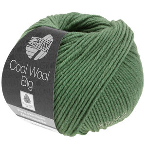 Lana Grossa COOL WOOL Big  Uni/Melange | 0967-verde reseda