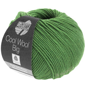 Lana Grossa COOL WOOL Big  Uni/Melange | 0997-foglia verde