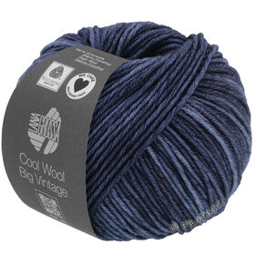 COOL WOOL Big Vintage di Lana Grossa