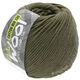 Lana Grossa COTTON MIX 130 (McWool) | 169-cachi
