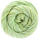 Lana Grossa ECCO | 003-verde chiaro