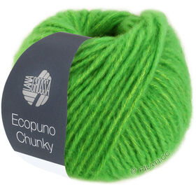 ECOPUNO Chunky di Lana Grossa