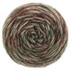 Lana Grossa ECOPUNO Hand-dyed | 55-verde muschio/beige/marrone nero/menta/grigio marrone