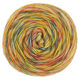 Lana Grossa ECOPUNO Hand-dyed | 58-arancio/verde grigio/giallo canarino/vaniglia/rosso carminio
