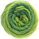 Lana Grossa ELASTICO Dégradé | 707-verde chiaro/verde medio/verde scuro/ottanio