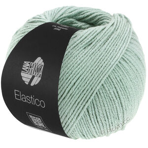 Lana Grossa ELASTICO | 120-verde grigio