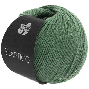 Lana Grossa ELASTICO | 141-verde reseda