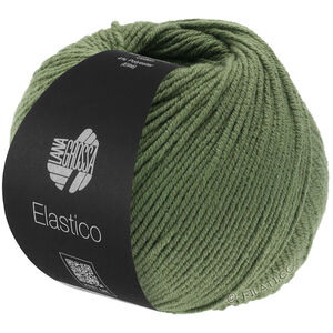 Lana Grossa ELASTICO | 156-oleandro verde