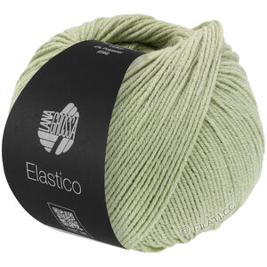 Lana Grossa ELASTICO | 183-verde canna