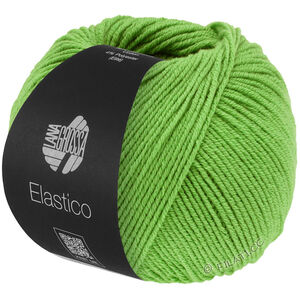 Lana Grossa ELASTICO | 193-verde primavera