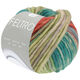 Lana Grossa FELTRO Camino | 844-verde opale/verde chiaro/pistacchio/ruggine/palissandro/grigio marrone