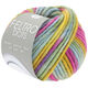 Lana Grossa FELTRO Dots | 1222-rosa vivo/grigio blu/giallo ocra/grigio verde