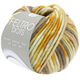 Lana Grossa FELTRO Dots | 1226-grigio marrone/ocra/ecru/cammello