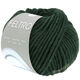 Lana Grossa FELTRO | 119-verde foresta