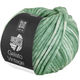 Lana Grossa GELATO Vintage | 108-oleandro verde/bianco