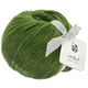 Lana Grossa LANDLUST MERINO 120 | 117-verde