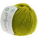 Lana Grossa LANDLUST MERINO 180 (GOTS & ICEA) | 214-pistacchio