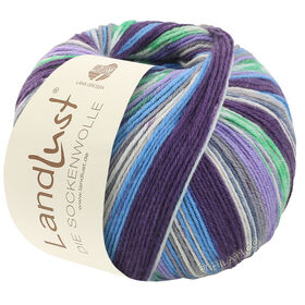 LANDLUST DIE SOCKENWOLLE 150g 6-Ply di Lana Grossa