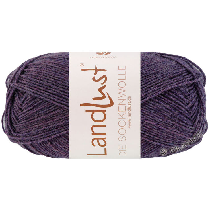 Lana Grossa LANDLUST DIE SOCKENWOLLE 50g Mélange | 1601-viola scuro puntinato