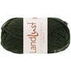 Lana Grossa LANDLUST DIE SOCKENWOLLE 50g Mélange | 1610-verde nero puntinato