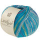 Lana Grossa LANDLUST DIE SOCKENWOLLE | 612-blu turchese/grigio chiaro/blu/blu chiaro/verde delicata/Giglio rosa a strisce