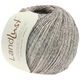 Lana Grossa LANDLUST SOMMERSEIDE Mélange | 104-grigio/marrone/beige