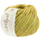 Lana Grossa LANDLUST WINTERWOLLE | 01-giallo limone puntinato