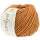 Lana Grossa LANDLUST WINTERWOLLE | 03-arancio puntinato