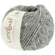 Lana Grossa LANDLUST WINTERWOLLE Tweed | 104-verde grigio puntinato
