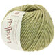 Lana Grossa LANDLUST WINTERWOLLE | 12-verde lime puntinato
